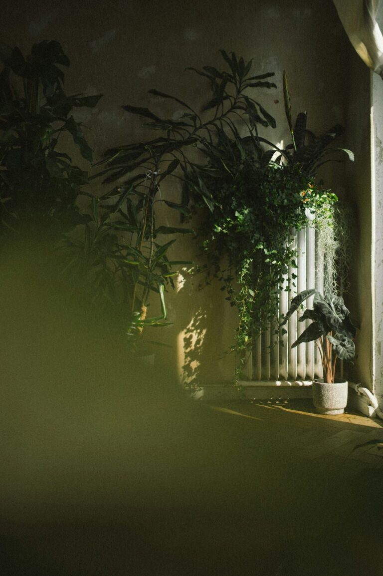 DTS_TERRA_Chris_Abatzis_Photo_ID13231